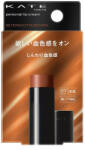 Kanebo Kate Personal Lip Cream 08 Teracotta Brown 3, 7g