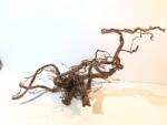 INVITAL Dragon wood 60-90cm (ID 3533)