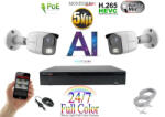 Monitorrs Security - AI IP Full Color kamerarendszer 2 kamerával 5 Mpix Wt - 6021K2