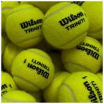 Wilson WilsonTrinity Club teniszlabda