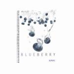 Herlitz Caiet A4 70f Spirala Dictando Fresh Fruit Afine (11292018)
