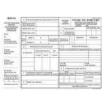 Formulare tipizate Foaie parcurs persoane, format A4, 100 coli/carnet (NL-011224)