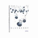Herlitz Caiet A4 70f Spirala Patratele Fresh Fruit Afine (11291689)