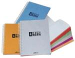 LeColor CAIET 4 SUBIECTE CU COPERTA PP 100 file, LE COLOR