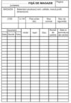Viamond FISE DE MAGAZIE A5 (100 buc/set) (180201)