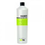 KayPro Шампоан за регулиране на мазен скалп KAYPRO Balance Shampoo 1000мл