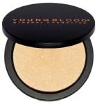Youngblood СВЕТЛООТРАЗЯВАЩ ХАЙЛАЙТЪР Light Reflecting Highlighter YOUNGBLOOD (5031)