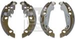 Febi Bilstein Set saboti frana FEBI BILSTEIN 170859 (170859)
