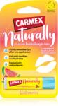 Carmex naturally ajakápoló stift dinnyés 4 g - mamavita