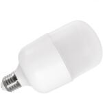 2R LED CAP T80 E27 20W 6500K fényforrás (LED CAP T80 E27 20W 6500K) - mystock