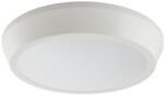2R CAPRI R300 30W 4500K felületre szerelhető kerek lámpatest (L090607309) - mystock