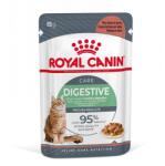 Royal Canin Digestive Care in sos 48x85 g hrana umeda pisici adulte, cu tract digestiv sensibil