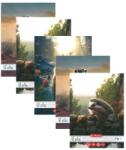 Herlitz Set 5 caiete Tip 1 Herlitz, 24 file, 80g/mp, Motiv funny wildlife (9495210-5)