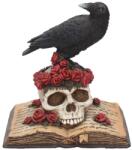 Nemesis Now Statuetă Nemesis Now Adult: Gothic - Heartaches Reflection, 17 cm (C0748C4) Figurina