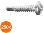 Schaefer-Peters Set 250 x Surub Autoforant Cap Bombat Forma N 7504 Inox A2-4.8 x 19 (COR-250X7504A4819S)