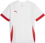 PUMA Bluza Puma teamGOAL Matchday Jersey jr 705748-11 Marime 164 (705748-11)