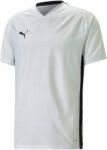 PUMA Bluza Puma teamCUP Jersey 705370-004 Marime XL (705370-004)