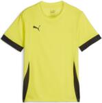 PUMA Bluza Puma teamGOAL Matchday Jersey jr 705748-23 Marime 128 (705748-23)