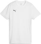 PUMA Bluza Puma teamGOAL Jersey W 658638-04 Marime L (658638-04)