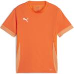 PUMA Bluza Puma teamGOAL Matchday Jersey jr 705748-08 Marime 116 (705748-08)