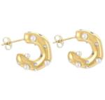 HARAHU KI-28729 Fülbevaló - Arany/Tip2 KP28729