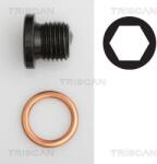 TRISCAN surub de golire, baia de ulei TRISCAN 9500 2906 (9500 2906)