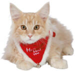 TRIXIE Kendö Karácsonyi S-M 30-40cm/20mm (TRX92331)