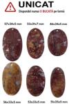  Pandantiv Fosil Palmier Oval cu Gaura - 46-57 x 25-43 5-7 mm