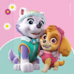 Procos Paw Patrol Skye and Everest, Mancs Őrjárat szalvéta 20 db-os (PNN90277)