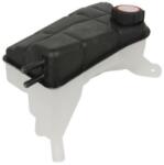 THERMOTEC Vas de expansiune, racire THERMOTEC DBG012TT (DBG012TT) - automobilus