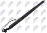 NTY Amortizor portbagaj NTY AE-FR-076 (AE-FR-076)