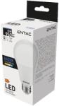 Avide Entac Led Globe E27 10W Cw 6400K (LLG27-10W-CW)