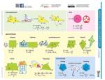  STIEFEL Tanulói munkalap A4-es - Kerület- és területszámítások - négyszögek (VTM05)