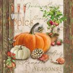 Ambiente Autumn Gardening papírszalvéta 33x33cm, 20db-os