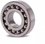  1309 EKTN9 beálló golyóscsapágy 45X100X25mm