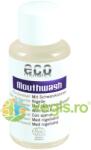 Eco Cosmetics Apa de Gura Concentrata cu Salvie si Chimen Negru Ecologica/Bio 50ml