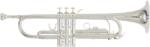 ROY BENSON Gewapure Rb701.072 Roy Benson Tr-202s Trombita