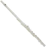 Trevor J. James Cantabile Fuvola Nyitott Ezust