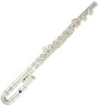 ROY BENSON Fl-402e2 Rb700413