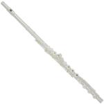 Trevor J. James Privilege Fuvola Nyitott Ezüst