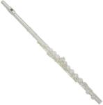 Trevor J. James Cantabile Fuvola Zárt Ezust