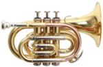 ROY BENSON Pt-302 Rb701020