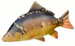 Energofish Halas Párna Óriás Tükör Ponty 85 cm