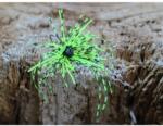 Rapture Tg Finesse Rub. Jig 3, 5 g#01 Chart-Pepper 1db műcsali (188-27-023)