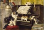 Enjoy 1551 - The Piano Lesson - 1000 db-os puzzle (1551)