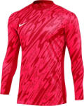 Nike Bluza cu maneca lunga Nike M NK DF GARDIEN V GK JSY LS fd7474-644 Marime 3XL (fd7474-644)