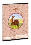 Ars Una Füzet A/5 sima ARS UNA 40lap My Sweet Horse 20-32