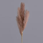 Valex Decor 4 ágú pampafű ág, 58cm magas - Barna (AF100-02)