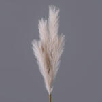Valex Decor 4 ágú pampafű ág, 58cm magas - Bézs (AF100-03)