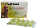 Prodivet Supliment nutritiv Efazan Dog, Sustine functia pielii, 45 tablete (C3056)